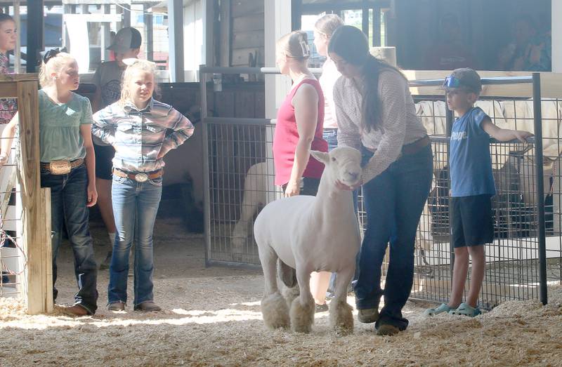 Kylee Cook of Toluca, (right) shows her ram during the Marshall-Putnam 4-H Fair on Wednesday, July 19, 2023 in Henry.