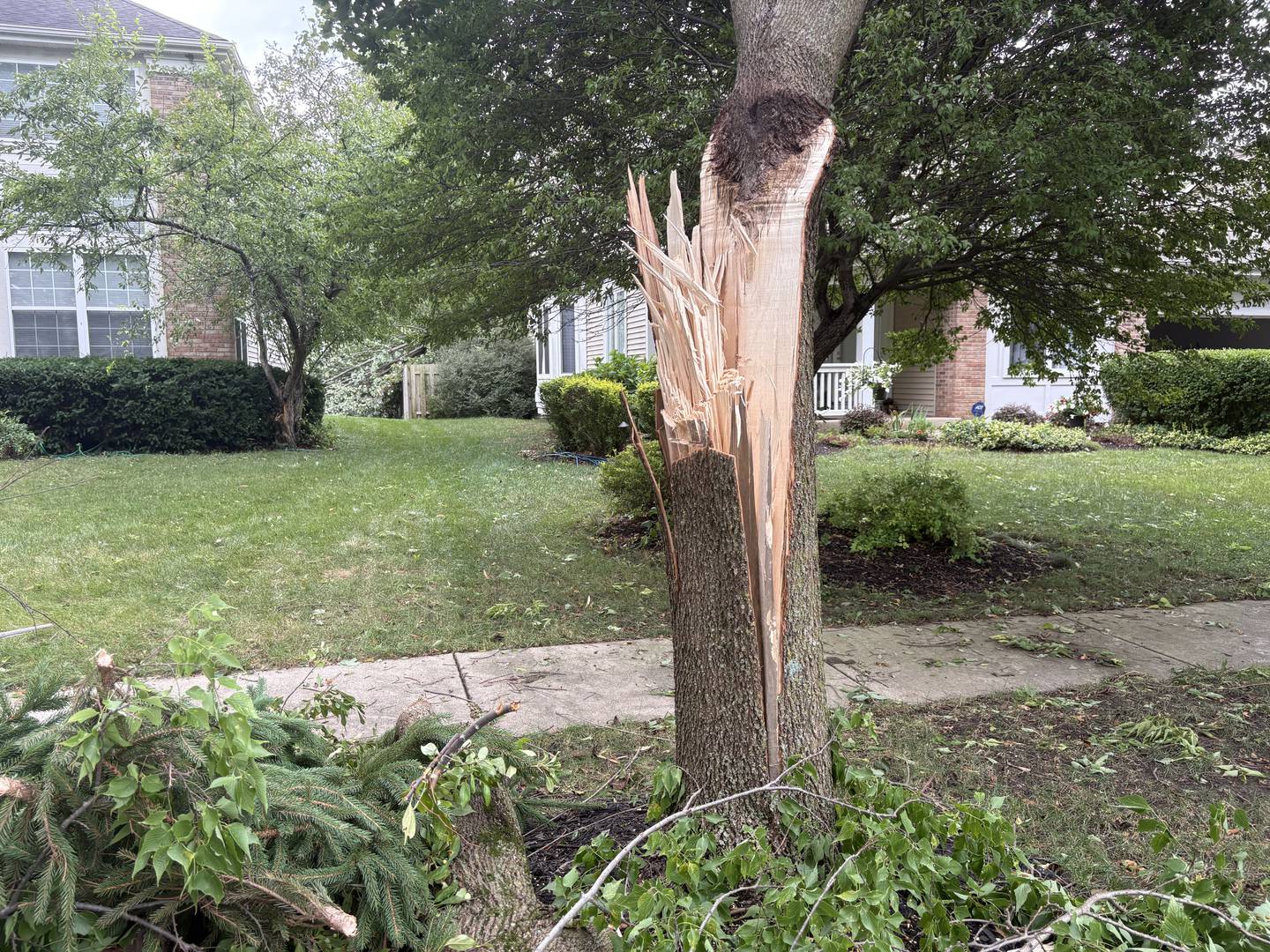 A tree damaged in storms in Cary pictured Aug. 17, 2025.
