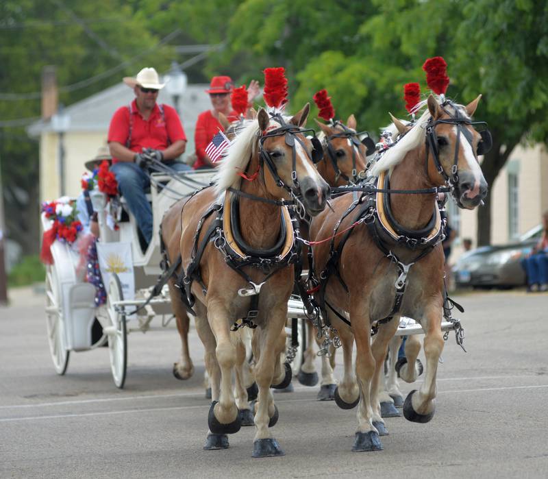 This team of registered hafling horses, owned by Donna and Irvin Immel, was one of 45 entries in the 2023 Let Freedom Ring parade held on Tuesday,  July 4. The entry was made possible by Reising Insurance.
