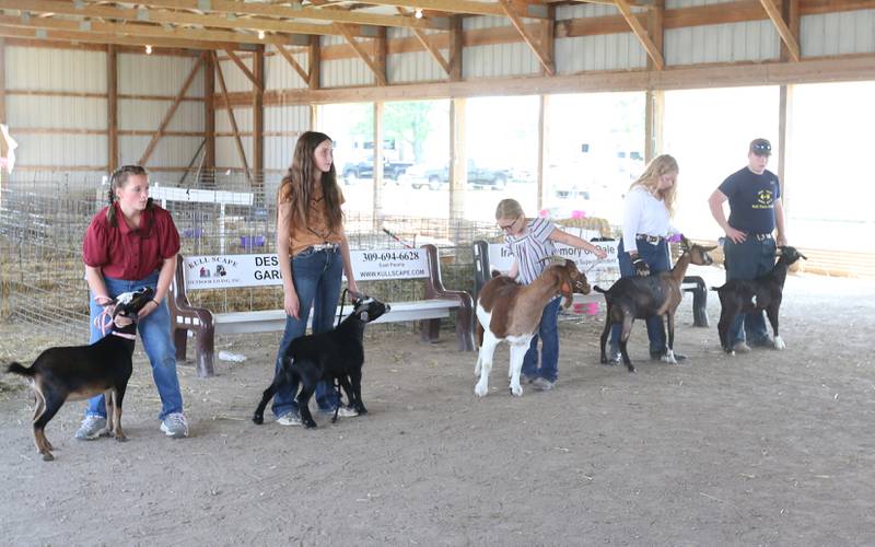 4-H kids compete for best of show at the Marshall-Putnam 4-H Fair on Wednesday, July 9, 2023 in Henry.