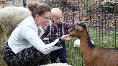 Autumn Fair attractions await at Peck Farm Park in Geneva