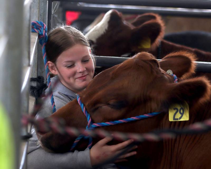 Morgan Goldman, 17, of Woodstock shares a moment with her steer Theo on the final day of the 2025 McHenry County Fair in Woodstock on Sunday, August 3, 2025.