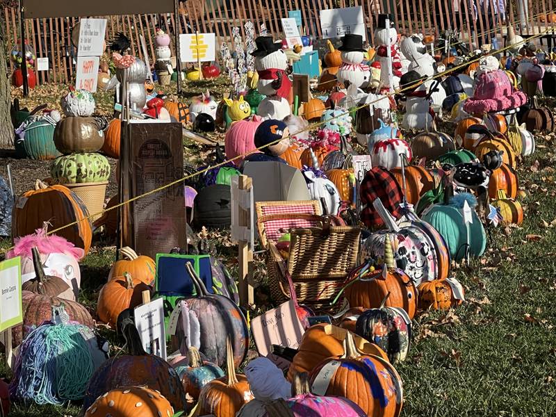 An assortment of pumpkins entered into the Happy and Fancy category of the 2022 Sycamore Pumpkin Festival Pumpkin Contest on Oct. 28, 2022.