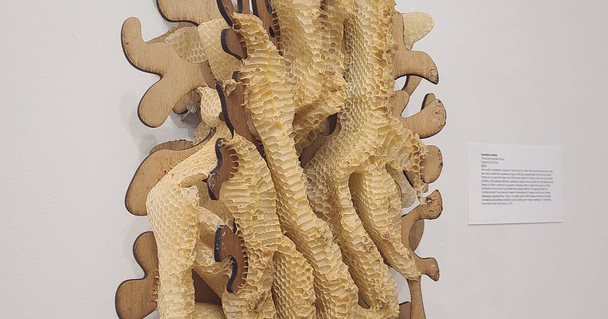 Pollinators take center stage in Dunn Museum exhibition