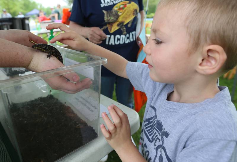 Justin Wilcox of Peru, pets a Tiger salamander during the twenty-third annual Kids Fishing Expo on Saturday, May 13, 2023 at Baker Lake in Peru.