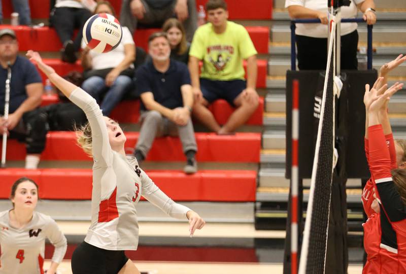 Woodland's Malayna Pitte spikes the ball against Earlville on Wednesday, Sept. 25, 2024 at Woodland High School.