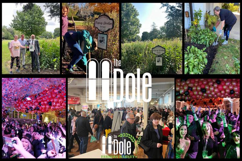 Farmers Market+ At The Dole - Magic at The Dole This Season