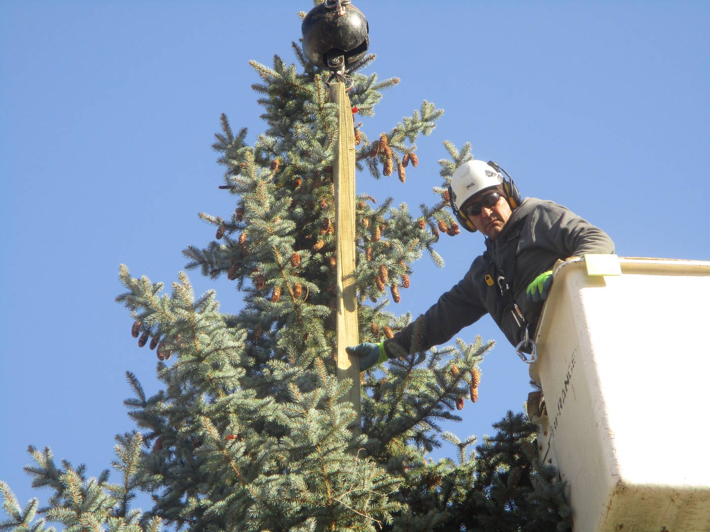 Felipe Valladares, foreman for Homer Tree Service, guides the delivery of the city of Joliet's annual Christmas tree to the new City Square downtown. Nov. 14, 2025