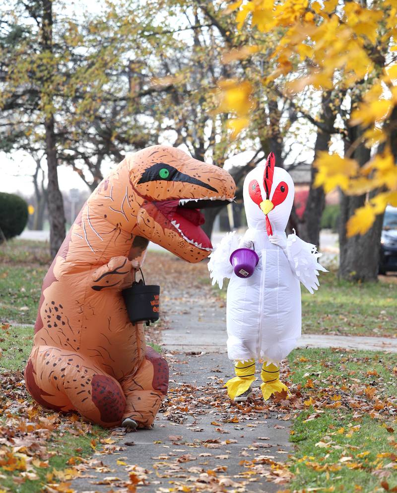 Photos DeKalb neighborhoods fill with costumed kids on Halloween