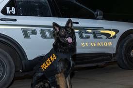 Streator police K9 Bo receives donated body armor