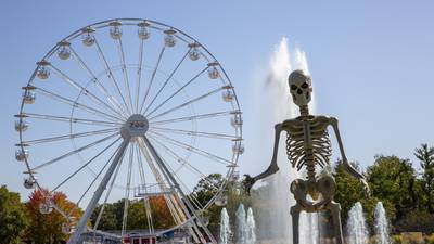 Boo! at the Zoo, BOOs & Brews, Wine in the Wild events at Brookfield Zoo in October
