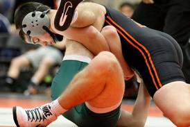 Photos: 2016 Don Flavin invite wrestling tournament in DeKalb
