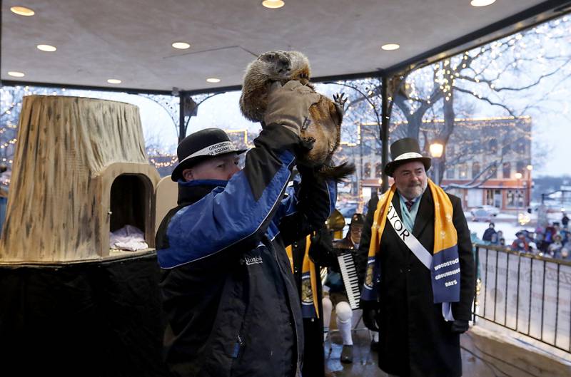 Woodstock Willie is held by handler Mark Szafarn after he was removed from his tree stump before make the groundhog makes his prognostication Wednesday, Feb, 2, 2022, during the annual Groundhog Day Prognostication on the Woodstock Square. This is the 30th anniversary of the movie "Groundhog Day" that was filmed in Woodstock.