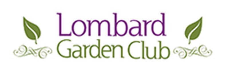 The Lombard Garden Club has announced that Marcy Lautanen-Raleigh will speak on The Curative Powers of Tea at 1 p.m. Friday, Nov. 8, 2024, at the club’s monthly meeting at the Lombard Community Building, 433 E. St. Charles Road in Lombard.