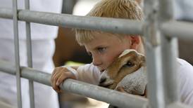Animals beat the heat as McHenry County Fair gates open