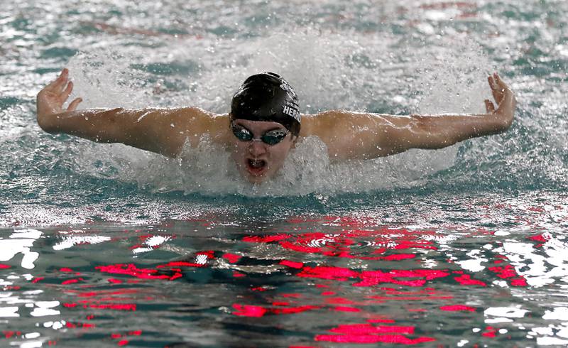 Cary-Grove’s Matthew Herrom competes in the 100 butterfly during the Fox Valley Conference Invitational swim meet on Saturday,  Feb. 15, 2025, at Woodstock North High School.