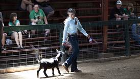 Lee County Fair and 4-H Show continue through Sunday