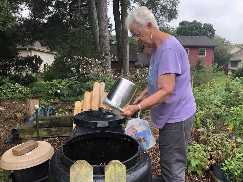 Jean Hervert Niemann of Woodstock empties a bucket into a compost bin Aug. 15, 2024.