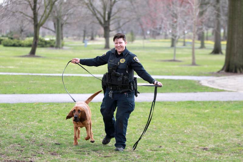 Kane County Sheriff Deputy Eden Latham works with her K-9 partner Maggie, a 2-year-old bloodhound.