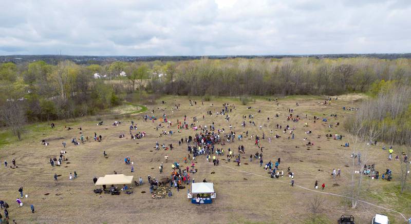 Volunteers help the Kane County Forest Preserve plant 500 trees Saturday April 22, 2023 at Tekakwitha Woods Forest Preserve in St. Charles.