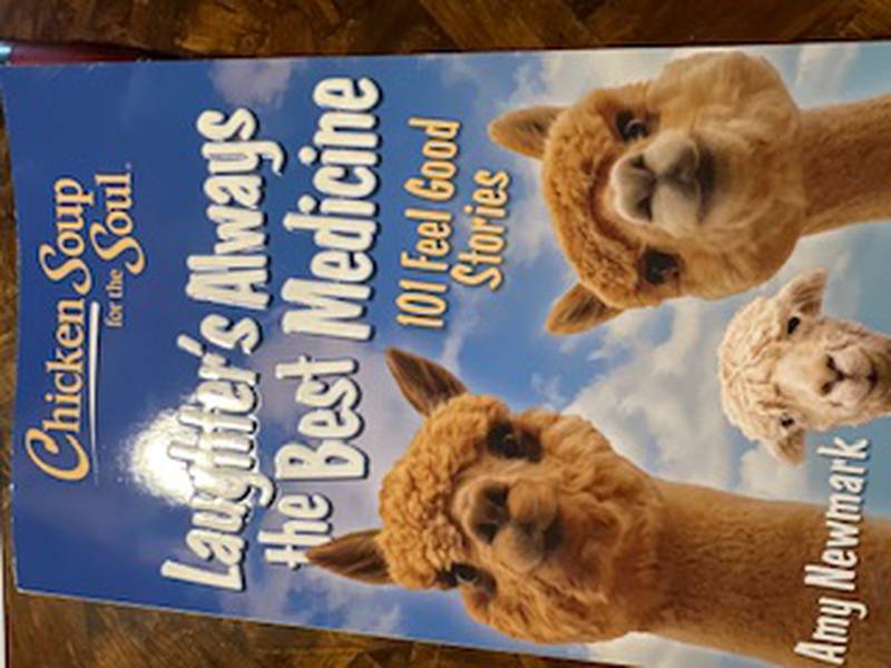 Former Cary-Grove High School teacher Susan Schuerr will hold a book signing from 1 to 3 p.m. Saturday, April 26, 2025, at the Algonquin Barnes and Noble for her story’s appearance in Chicken Soup for the Soul’s Laughter’s Always the Best Medicine.