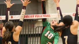 La Salle-Peru looks to repeat as I-8 champs, make postseason run with veteran roster
