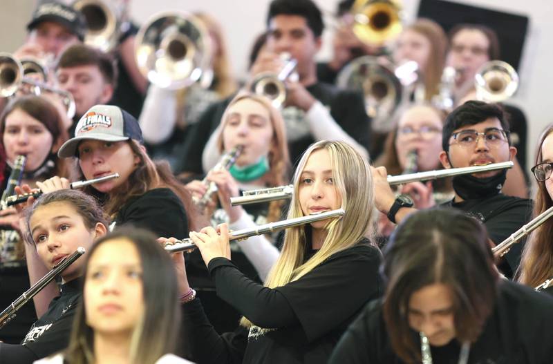 Members of the Rock Falls band keep fans entertained during a lull in the action at the IHSA girls state basketball playoffs Friday, March 4, 2022, in Redbird Arena at Illinois State University in Normal.