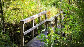 Land Conservancy of McHenry County hosts Wednesday Walks in May, June