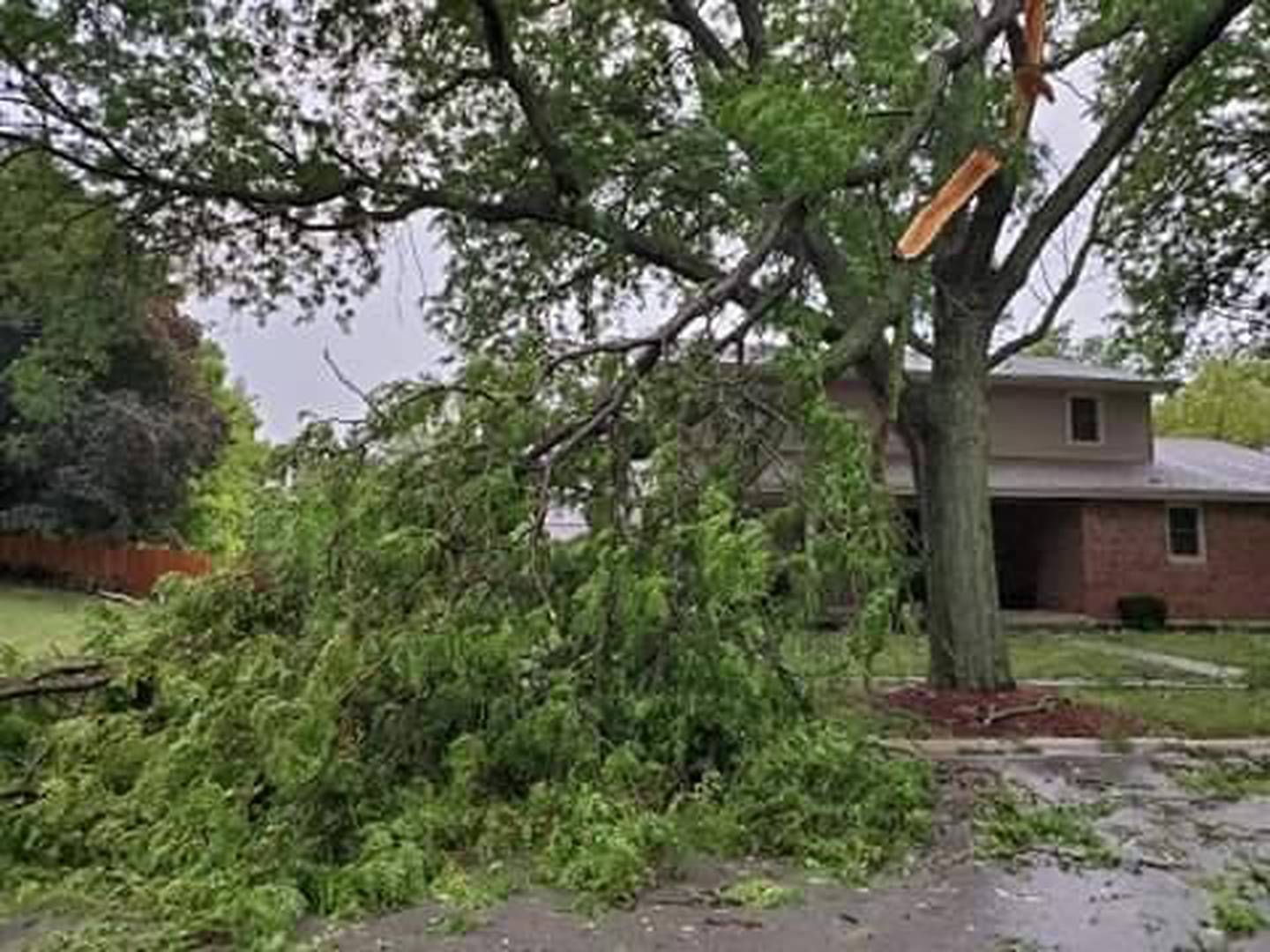 Joliet 2020 derecho