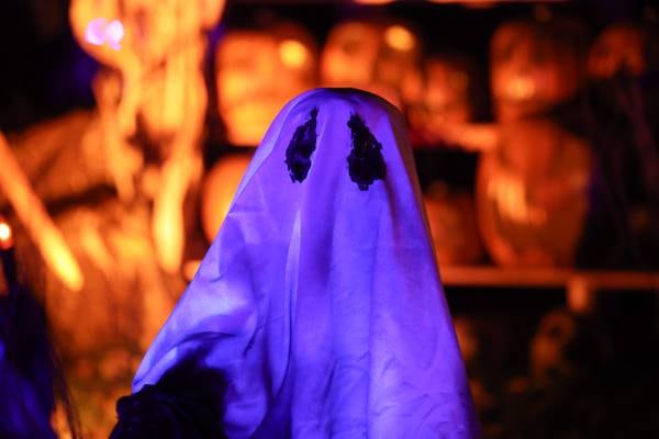 Yorkville Library announces lineup of fall events, from live music to Halloween fun