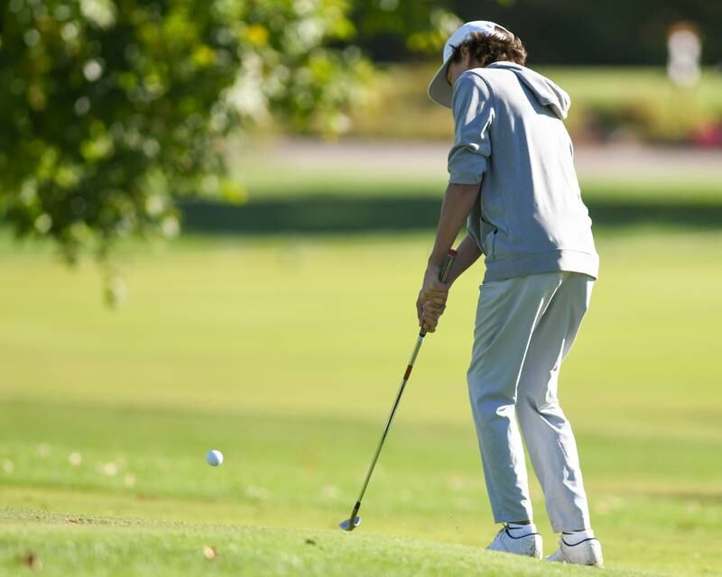 Wheaton Warrenville South's Michael Johansen chips onto the green on Monday Oct. 7, 2024, during the 3A sectional match held at Blackberry Oaks Golf Course in Bristol.