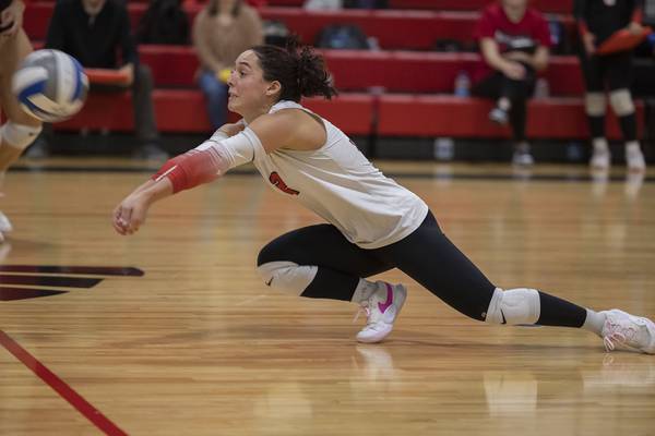 Sauk Valley Views: Photos of the Week Nov. 7-13, 2025