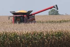 2 scholarships available from Marshall-Putnam Farm Bureau to study agriculture