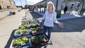 Photos: Rock Falls Farmers Market open for the season