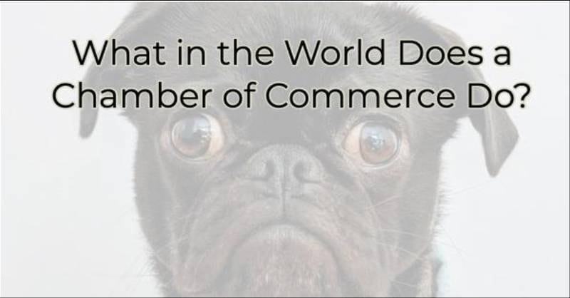 Oswego Chamber of Commerce - What is a Chamber of Commerce and What Does it Do?