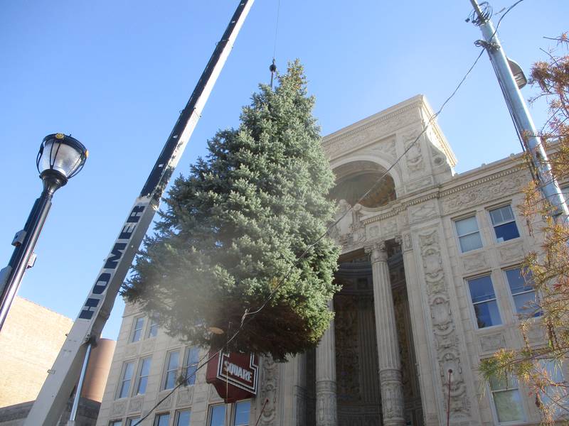 The city of Joliet Christmas tree is lifted in front of the Rialto Square Theatre before being set in its place in the new City Square in downtown Joliet. Nov. 14, 2025