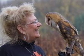 Raptor Education Program to be held in Peru on August 29