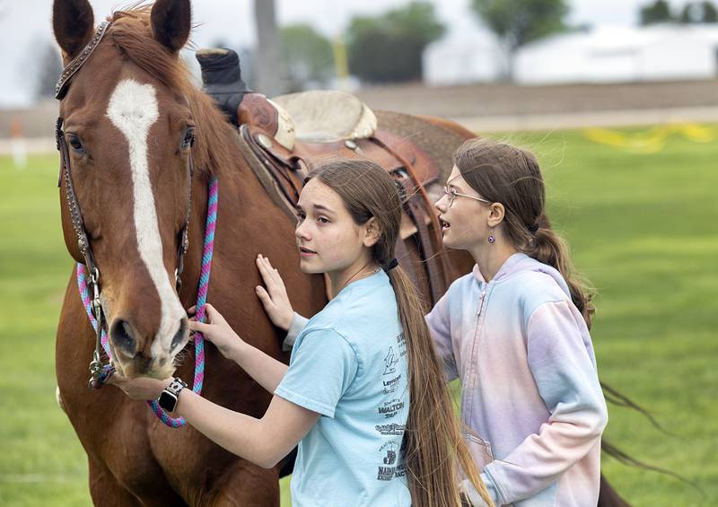 Students were invited up to pet the horses Friday, April 24, 2026, at the Lee County Fairgrounds.