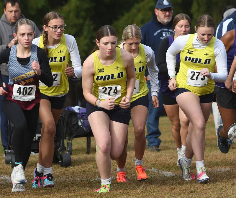 Polo-Forreston cross country runners start their race at the 1A Winnebago Girls Regional on Saturday, Oct. 25, 2025 at the Levi and Ester Fuller Memorial Forest Preserve.