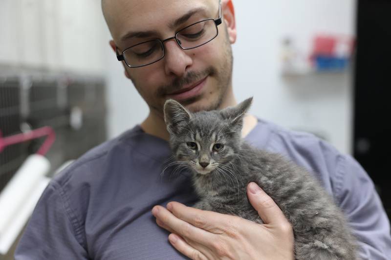 Dr. Adam M. Abou-Youssef, owner of Essington Road Animal Hospital, holds Louie, one of the cats that will be highlighted for the ERAH Fundraiser on Saturday, July 15th, 2023 in Joliet.