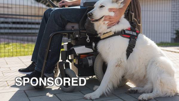 Five Things To Know For National Service Dog Month