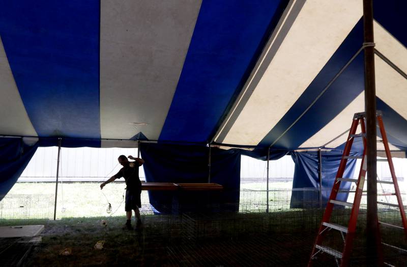 Dale Shaffer of Shaffer Electrical Contractors, installs lights in the poultry tent at the McHenry County Fairgrounds on Friday, July 28, 2023, as the fair gets read for the 75th edition that starts on August 1, 2023.
