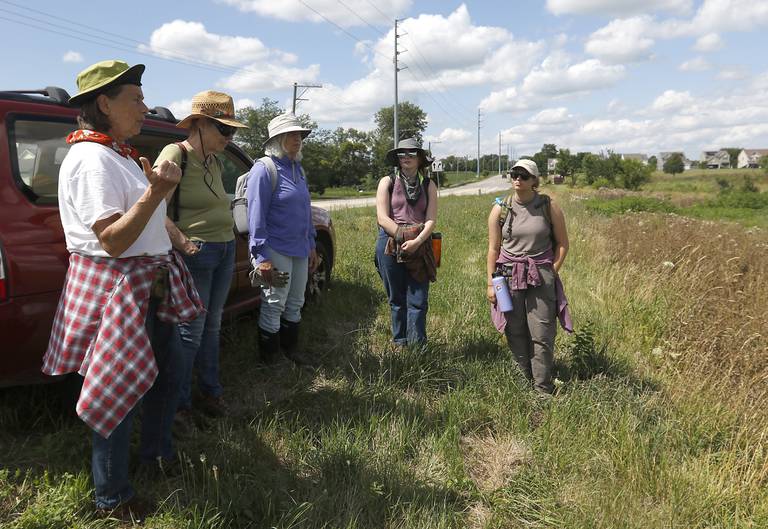 Linda Balek, left, Farm Program Manager for Land Conservancy of McHenry County, talks with other members for the “farm forest” team as they visit the conservancy's "farm forest" near the intersection of Dean Street and Hercules Road in Woodstock, Wednesday, June 13, 2022, to see how well some of the plants they planted are growing. The Land Conservancy of McHenry County is working on creating a creating a place where they will utilize native plants and regrow trees that will also be able to produce crops creating something of a more dense agrifarm.