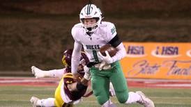 2024 Suburban Life All-Area football team