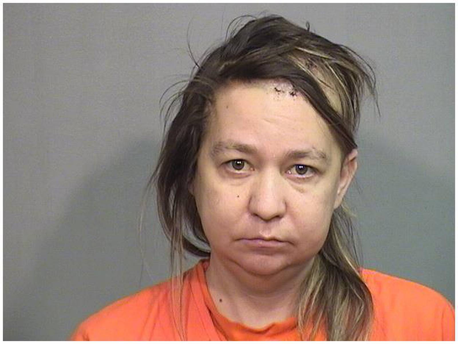 Wonder Lake woman, special education teacher arrested on child