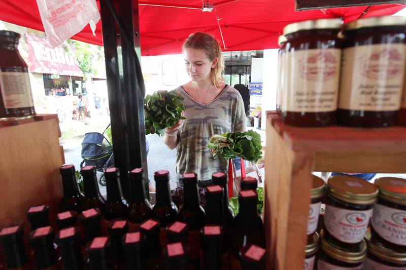 Paulina Sroka, of Wauconda shops for lettuce at the Harms Farm produce stand at the Wauconda Farmers’ Market in downtown Wauconda. The farmers’ market runs on Thursday afternoons from 4-7pm through September 29th