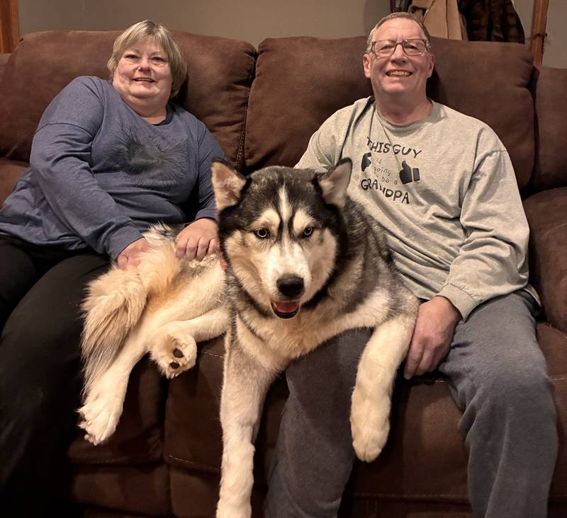 Kate and Mitch Parisek of Woodstock with Flash, the husky rescued from a fall through the ice last month. Fox River and Countryside Fire/Rescue pulled the dog from a freezing pond in St. Charles, got him to a vet, then to Animal House Shelter in Huntley – where the Pariseks adopted him.