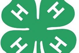 Lee County 4-H to hold Project Pool event April 5 in Amboy
