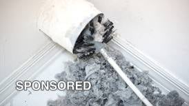 Don’t Let Mold Take Hold: Why Dryer Vent Cleaning Matters