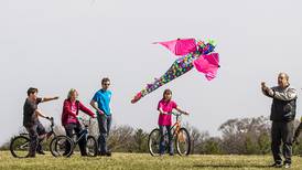 5 Things to Do: Hike in Harvard, and fly kites in Cary 